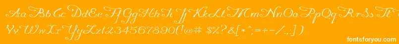 Promocyja096 Font – White Fonts on Orange Background