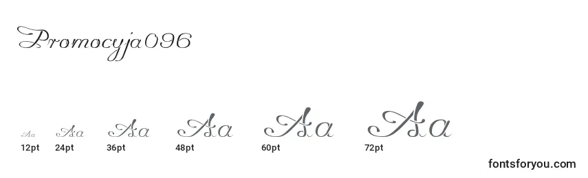 Размеры шрифта Promocyja096 (97470)