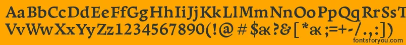 LeksaproBold Font – Black Fonts on Orange Background