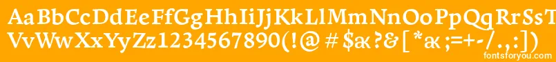 フォントLeksaproBold – オレンジの背景に白い文字