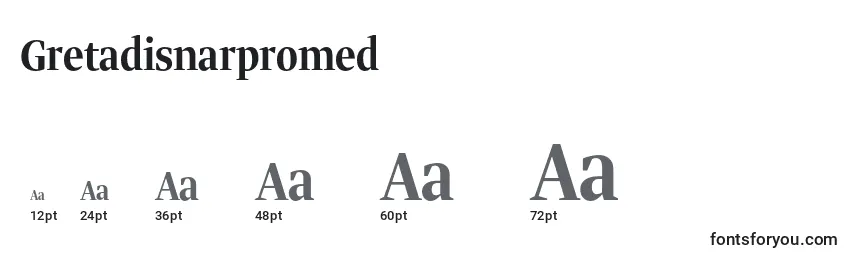 Gretadisnarpromed Font Sizes