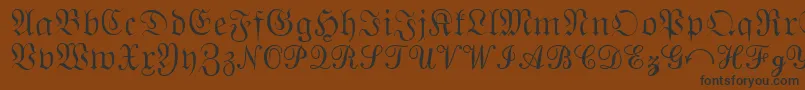 QuantaPiSixSsi Font – Black Fonts on Brown Background