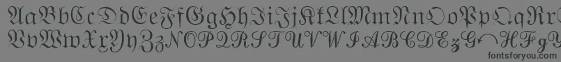 QuantaPiSixSsi-Schriftart – Schwarze Schriften auf grauem Hintergrund