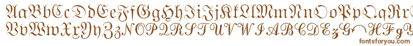 QuantaPiSixSsi Font – Brown Fonts on White Background