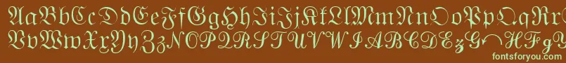 QuantaPiSixSsi Font – Green Fonts on Brown Background