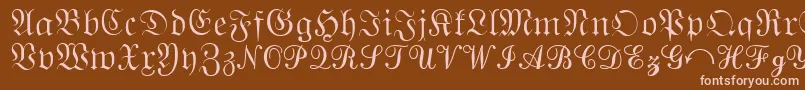 QuantaPiSixSsi Font – Pink Fonts on Brown Background