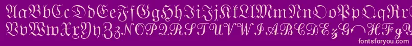 QuantaPiSixSsi-Schriftart – Rosa Schriften auf violettem Hintergrund