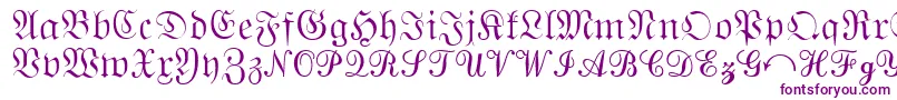 QuantaPiSixSsi Font – Purple Fonts on White Background