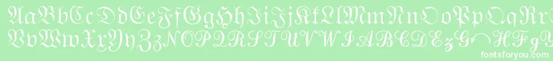 QuantaPiSixSsi Font – White Fonts on Green Background