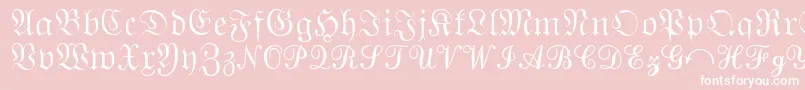 QuantaPiSixSsi Font – White Fonts on Pink Background