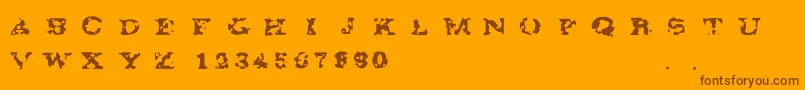 Gaza67 Font – Brown Fonts on Orange Background