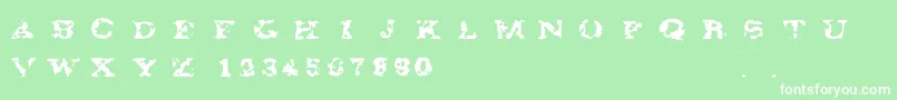 Gaza67 Font – White Fonts on Green Background