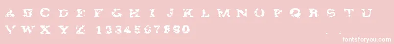Gaza67-Schriftart – Weiße Schriften auf rosa Hintergrund