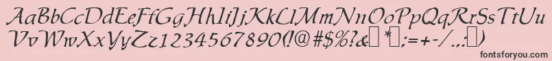 IngridRegular Font – Black Fonts on Pink Background