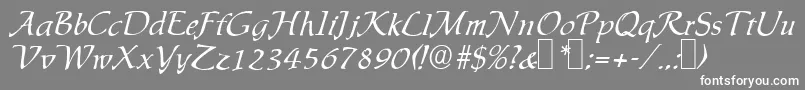 フォントIngridRegular – 灰色の背景に白い文字