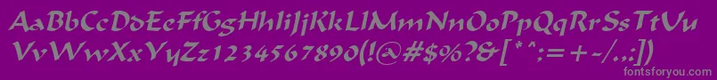 IgnaciousItalic Font – Gray Fonts on Purple Background