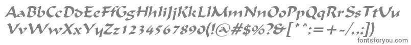 フォントIgnaciousItalic – 灰色のフォント