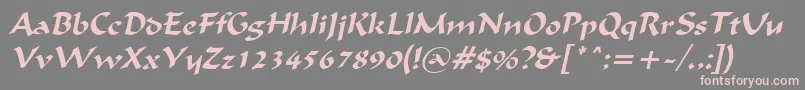 fuente IgnaciousItalic – Fuentes Rosadas Sobre Fondo Gris
