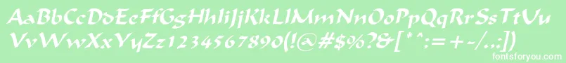 IgnaciousItalic Font – White Fonts on Green Background