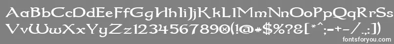 フォントDum2wide – 灰色の背景に白い文字