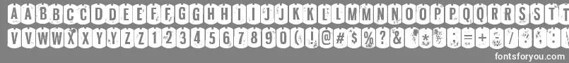 NyxaliRegular Font – White Fonts on Gray Background