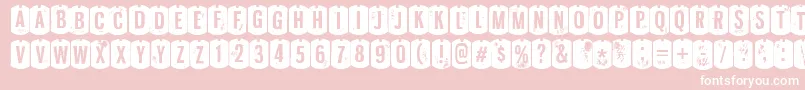 NyxaliRegular-Schriftart – Weiße Schriften auf rosa Hintergrund