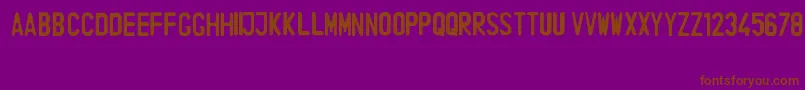IndonesiaLicensePlate Font – Brown Fonts on Purple Background