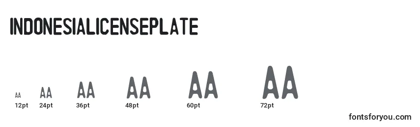 IndonesiaLicensePlate Font Sizes