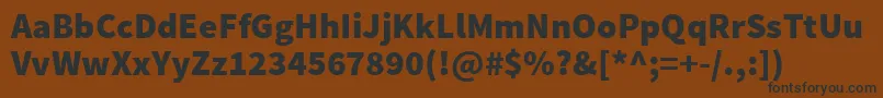 SourcesansproBlack Font – Black Fonts on Brown Background