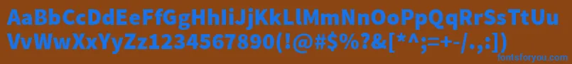 SourcesansproBlack Font – Blue Fonts on Brown Background