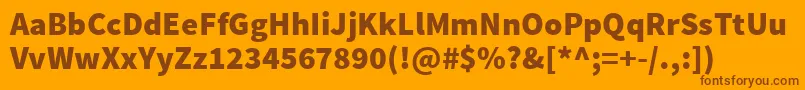 SourcesansproBlack Font – Brown Fonts on Orange Background