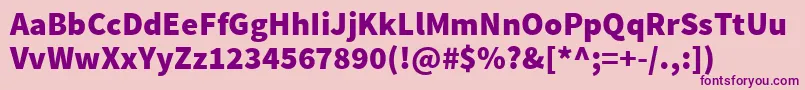 SourcesansproBlack Font – Purple Fonts on Pink Background