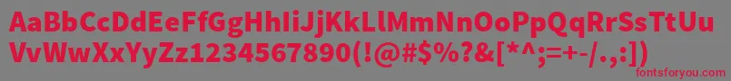 フォントSourcesansproBlack – 赤い文字の灰色の背景