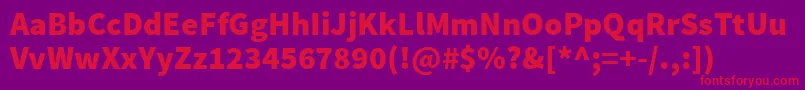 SourcesansproBlack Font – Red Fonts on Purple Background
