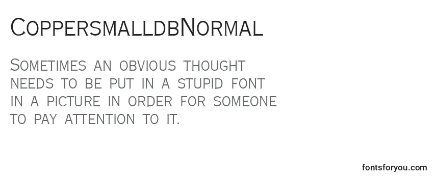 Review of the CoppersmalldbNormal Font