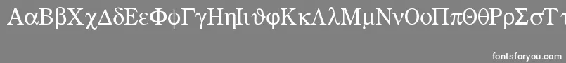 フォントGreekmathsymbols – 灰色の背景に白い文字