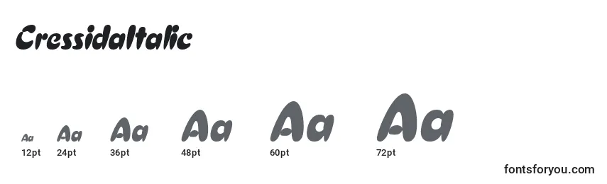CressidaItalic Font Sizes