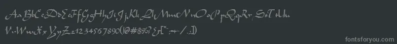 フォントTidannRegular – 黒い背景に灰色の文字