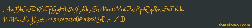 フォントTidannRegular – 黒い背景にオレンジの文字