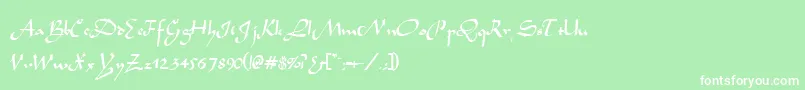 フォントTidannRegular – 緑の背景に白い文字