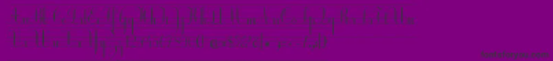 EcCp Font – Black Fonts on Purple Background