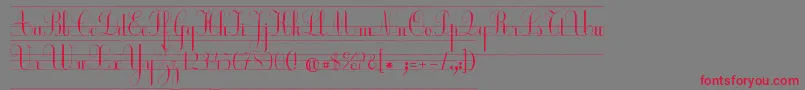 EcCp Font – Red Fonts on Gray Background