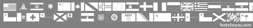 Police Ryflag11 – polices blanches sur fond gris
