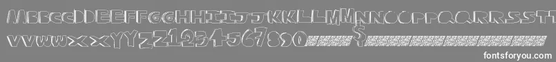 フォントQualitycontrol – 灰色の背景に白い文字