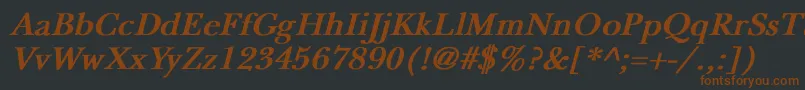 NewbaskervilleBoldItalic Font – Brown Fonts on Black Background