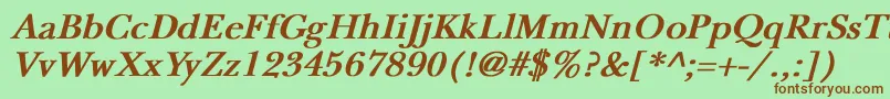 NewbaskervilleBoldItalic Font – Brown Fonts on Green Background