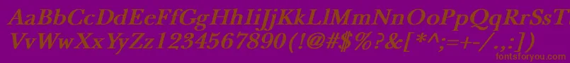 NewbaskervilleBoldItalic Font – Brown Fonts on Purple Background