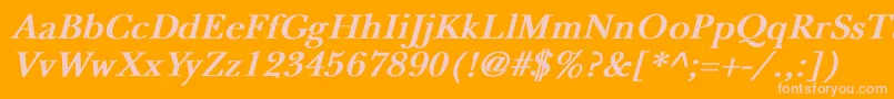 NewbaskervilleBoldItalic Font – Pink Fonts on Orange Background