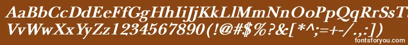 NewbaskervilleBoldItalic Font – White Fonts on Brown Background