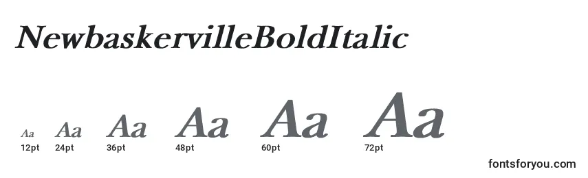 Größen der Schriftart NewbaskervilleBoldItalic